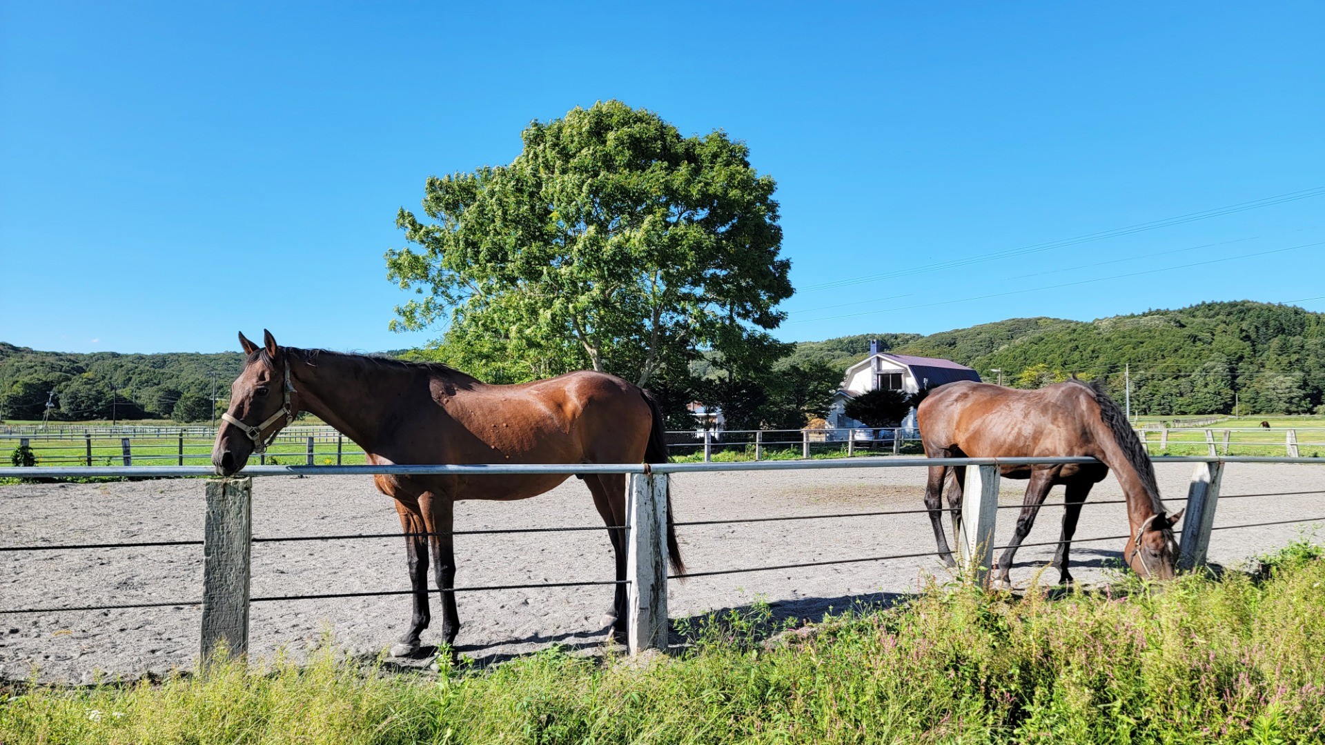 ffe013bbe56b4e2aeb8851e7150626db-1760934096.jpg ffe013bbe56b4e2aeb8851e7150626db-1760934096.jpg